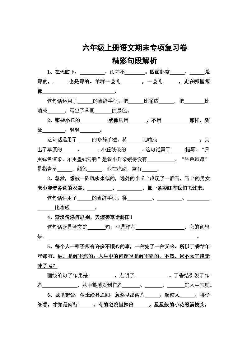 专题4：精彩句段解析-2023-2024学年六年级上册语文期末专项知识点（统编版）01