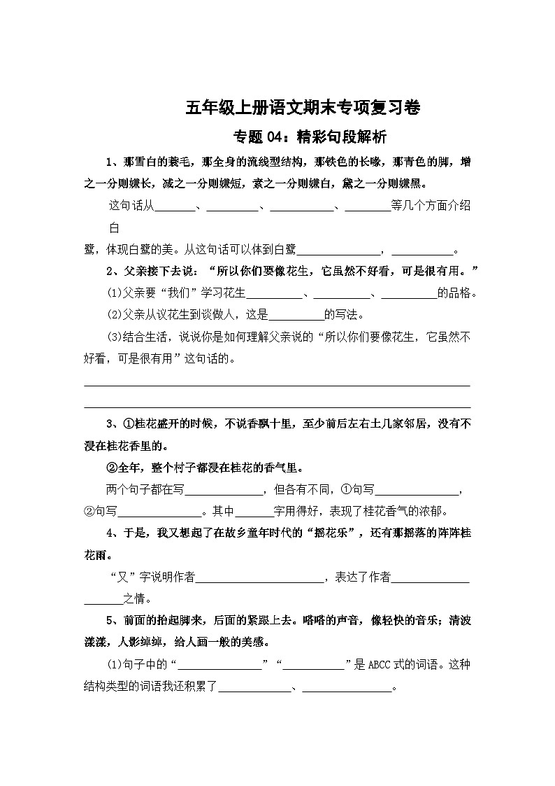 专题4：精彩句段解析-2023-2024学年五年级上册语文期末专项知识点（统编版）01