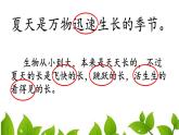 16《夏天里的成长》课时课件统编版语文六年级上册