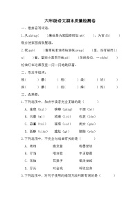 期末质量检测卷（试题）统编版语文六年级上册