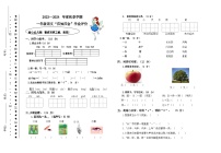 四川省巴中市实验小学2023-2024学年一年级上学期语文期末预测题