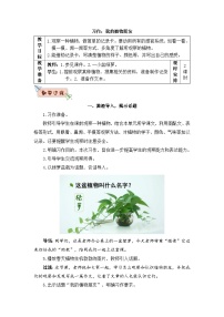 人教部编版三年级下册习作：我的植物朋友教学设计