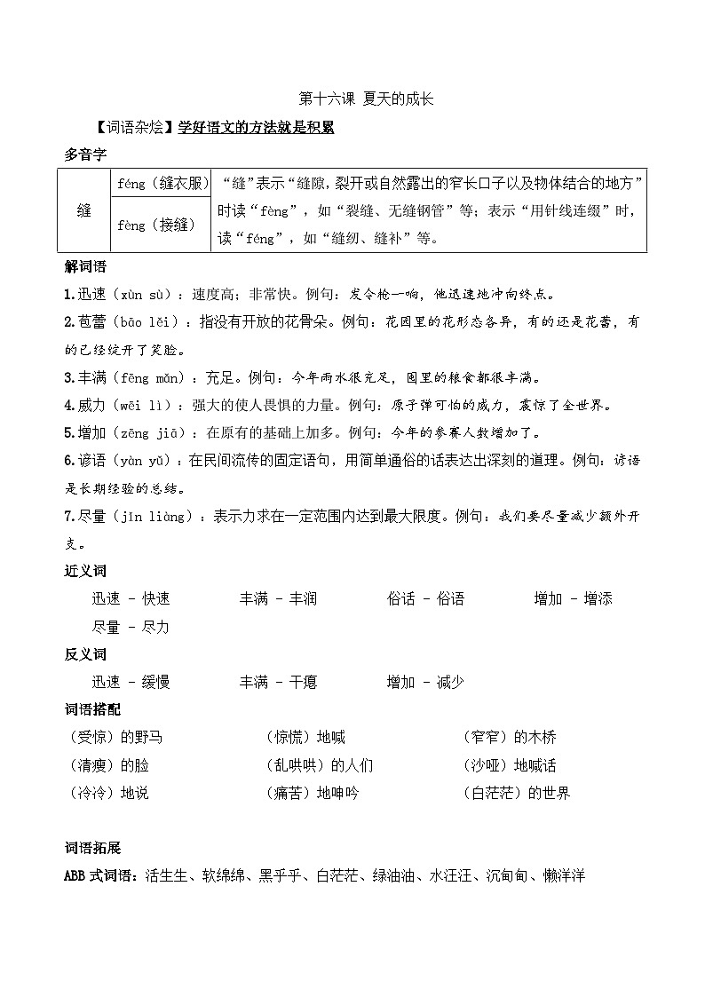 六年级语文上册（课文知识点+配套练习）16.《夏天的成长》学生版+教师版01