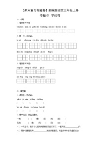 【期末复习专题卷】部编版语文3年级上册·专题01 字词句