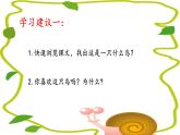 《15.搭船的鸟》课件-2023-2024学年三年级语文上册（统编版）