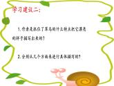 《15.搭船的鸟》课件-2023-2024学年三年级语文上册（统编版）