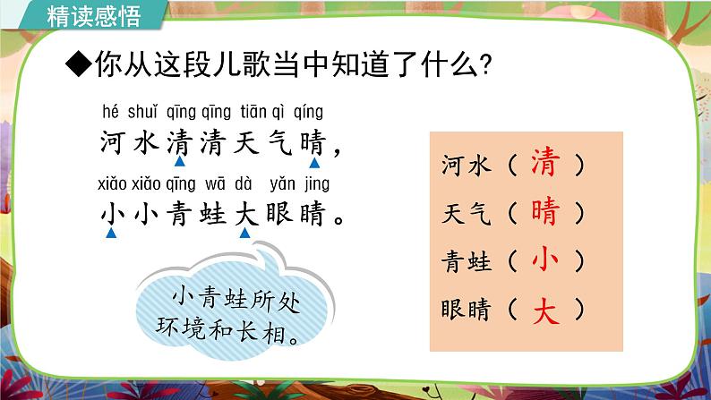 【核心素养】部编版语文一下 识字3《小青蛙》课件+教案+音视频素材04