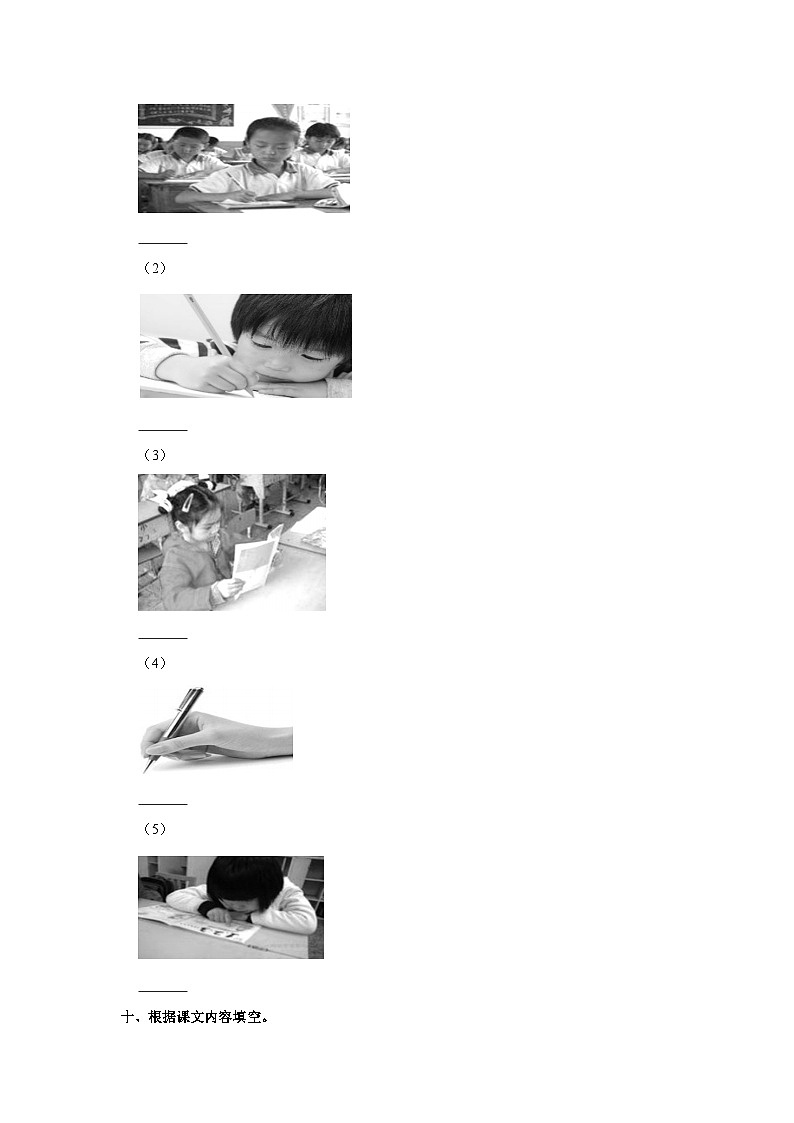 吉林省四平市铁西区2023-2024学年一年级上学期期末语文试卷03