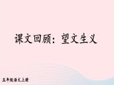 2023五年级语文上册期末专题复习第一单元12课文回顾：望文生义课件（部编版）