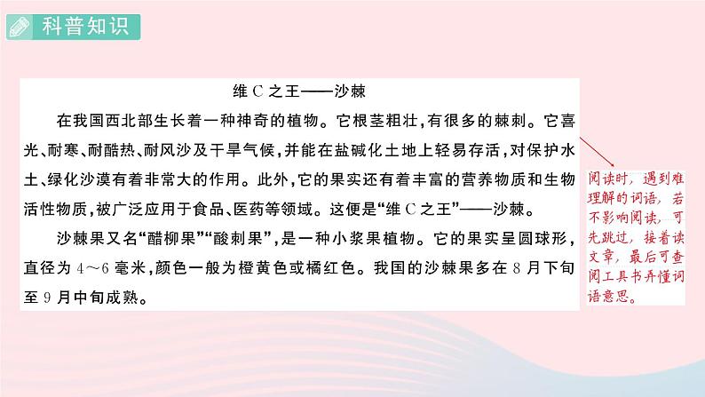 2023五年级语文上册期末专题复习第7天课外阅读作业课件（部编版）第8页