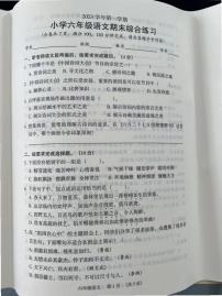 广东省广州市荔湾区2023-2024学年六年级上学期语文期末试卷