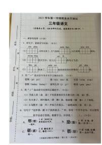 广东省广州市天河区2023-2024学年三年级上学期语文期末试卷