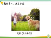 15《搭船的鸟》（课件）-统编版语文三年级上册