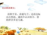 13 乌鸦喝水（课件）-统编版语文一年级上册