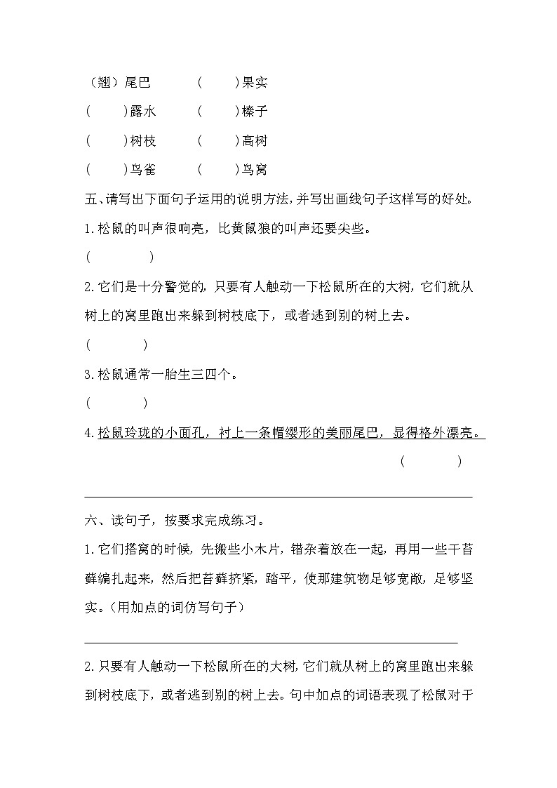 部编版语文五年级上册 17 松鼠 同步练习（无答案）02