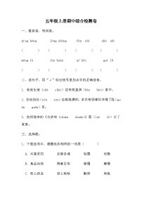 统编版五年级上册语文期中 综合检测卷 （无答案）