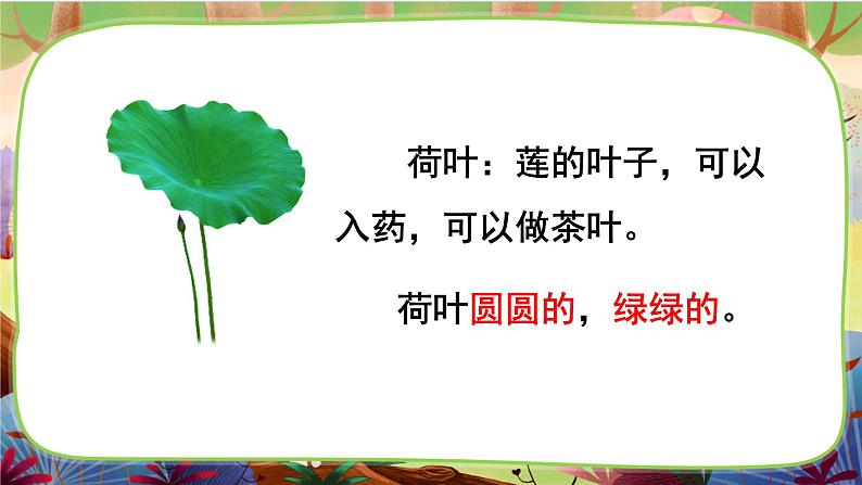 【核心素养】部编版语文一下 12《荷叶圆圆》课件+教案+音视频素材04