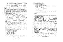 盐城东台市2022-2023三年级语文上册期末试卷及答案