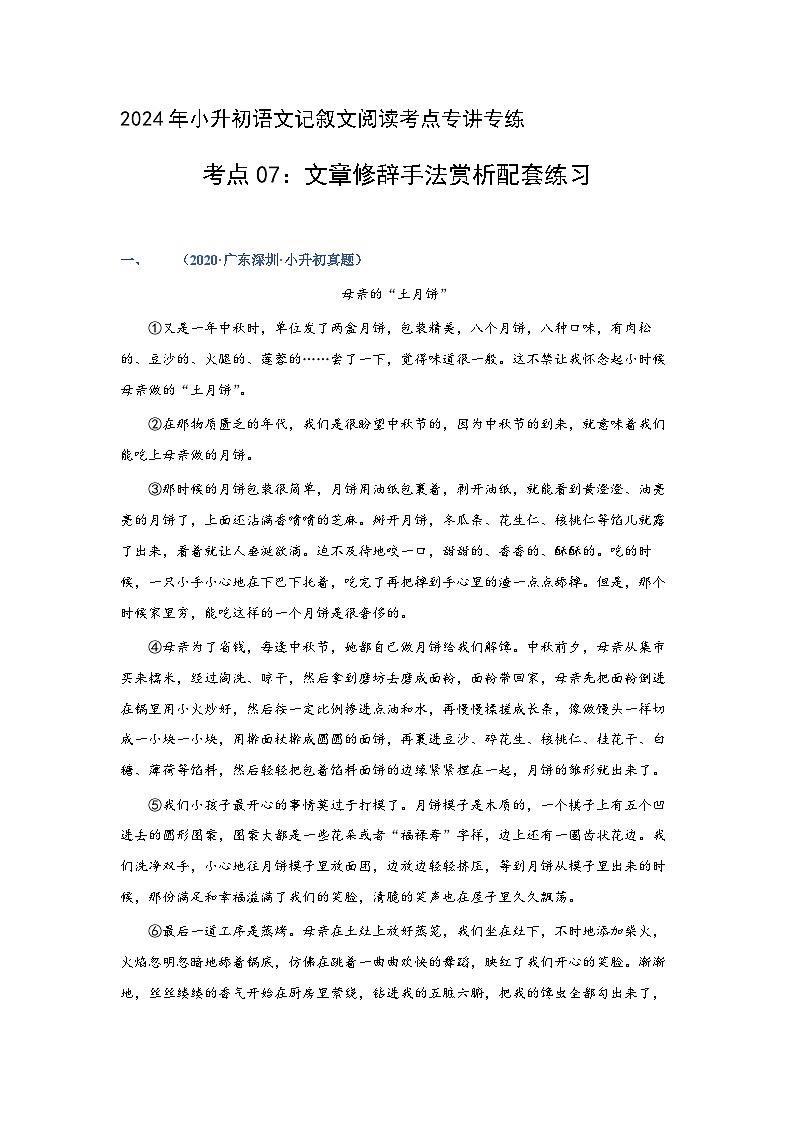考点07：文章修辞手法赏析（练习）（学生版）2024年小升初语文 记叙文阅读专讲专练01