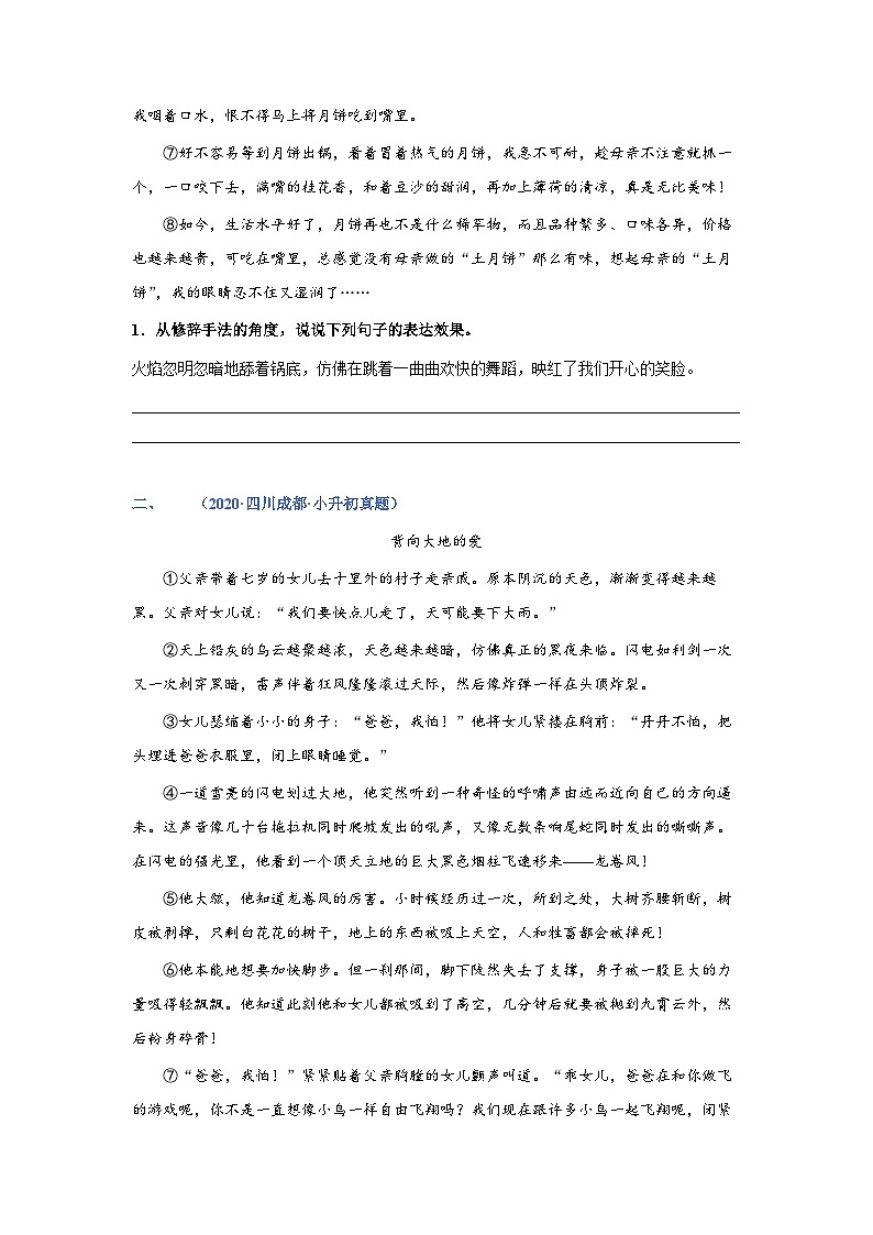 考点07：文章修辞手法赏析（练习）（学生版）2024年小升初语文 记叙文阅读专讲专练02