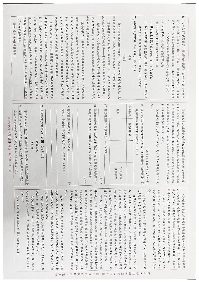 2023-2024北京朝阳六年级上学期语文期末题试卷+无答案第2页