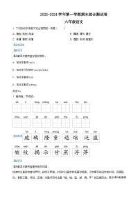 13，2023-2024学年河南省周口市沈丘县等学校部编版六年级上册期末考试语文试卷