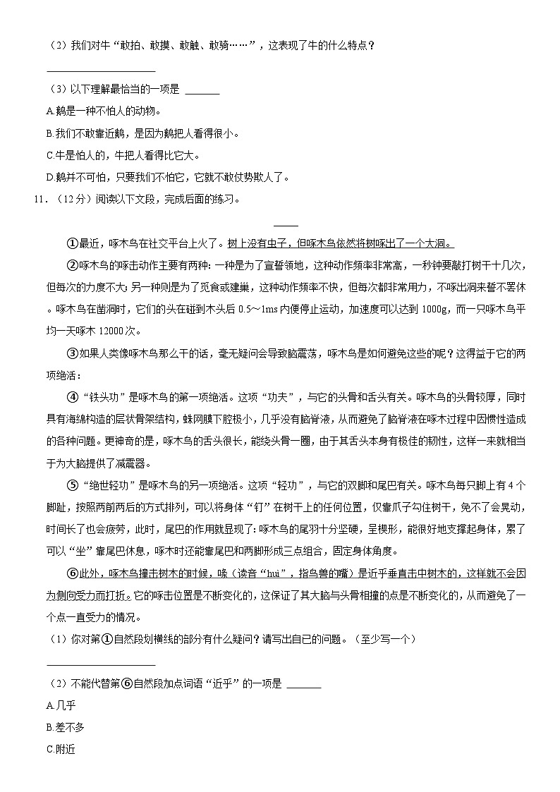 广东省广州市白云区2023-2024学年四年级上学期期末语文试卷03