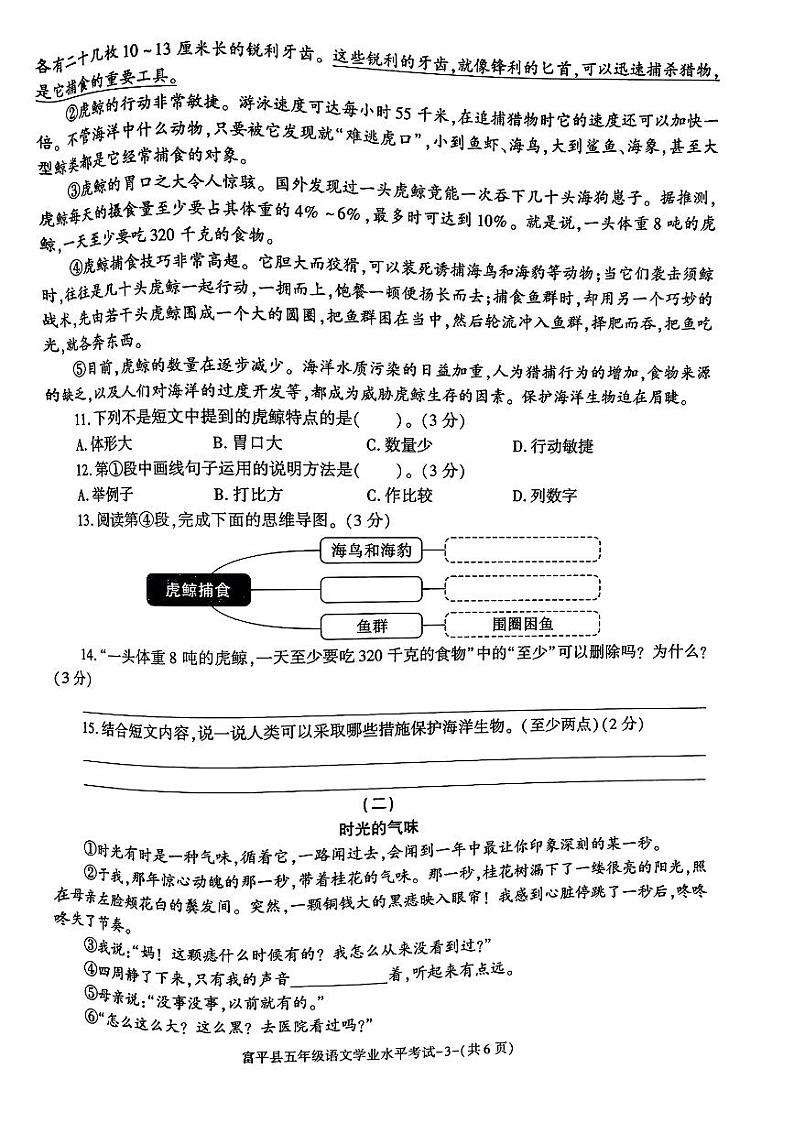 陕西省渭南市富平县2023-2024学年上学期期末五年级语文试题03