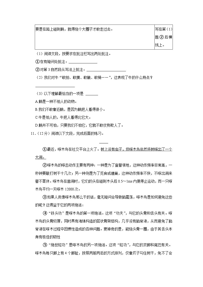 广东省广州市白云区2023-2024学年四年级上学期期末语文试卷03