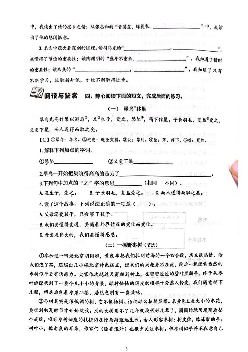 山东省济南市历下区2023-2024学年五年级上学期期末考试语文试题（A卷）第3页