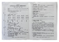 广东省河源市龙川县2023-2024学年六年级上学期期末语文试卷