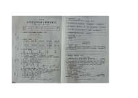 广东省河源市龙川县2023-2024学年四年级上学期期末语文试卷