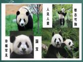 人教部编版语文三年级下册 习作：国宝大熊猫(第七单元) 课件