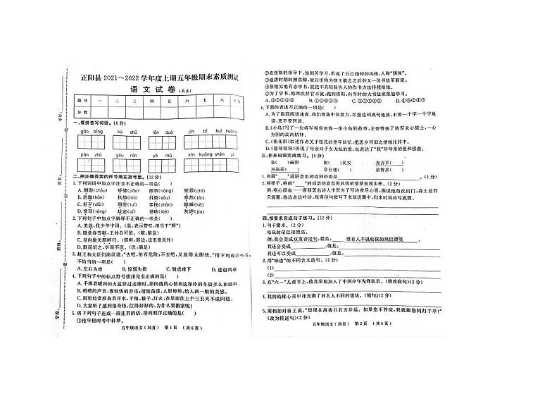 河南省驻马店市正阳县2021-2022上学年五年级上学期期末语文试卷01