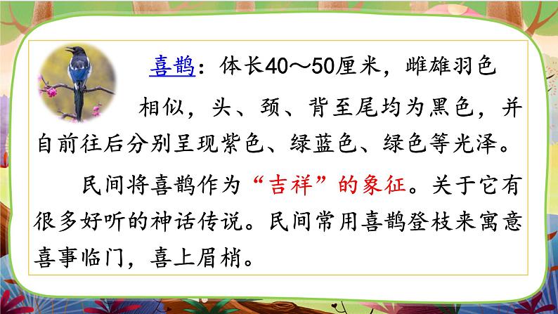 9.《枫树上的喜鹊》第一课时第5页