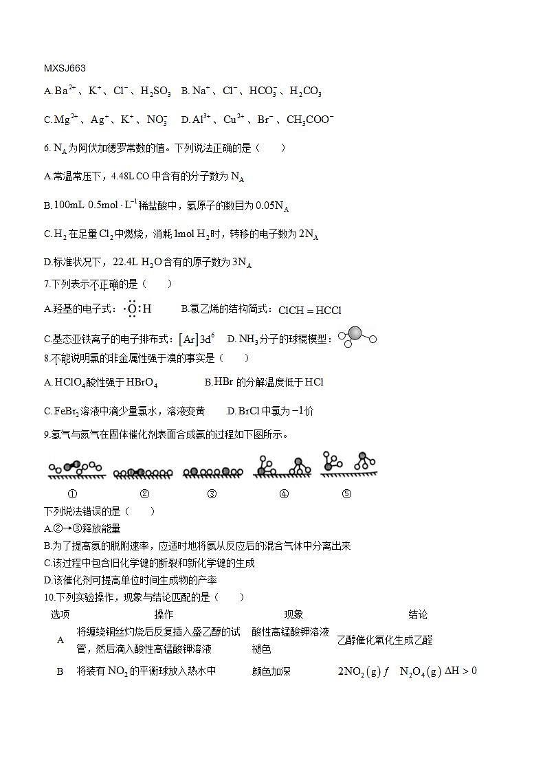 广东省韶关市2023-2024学年六年级上学期期末语文试卷02