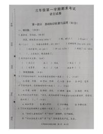 广东省惠州市惠阳区2023-2024学年三年级上学期期末质量检测语文试题