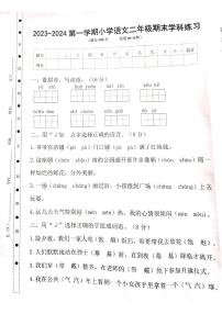 广东省湛江市赤坎区2023-2024学年二年级上学期期末语文试卷