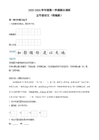 2023-2024学年河北省邯郸市临漳县部编版五年级上册期末考试语文试卷