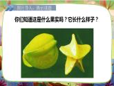 【核心素養(yǎng)】部編版語文二下 13《畫楊桃》課件+教案+音視頻素材