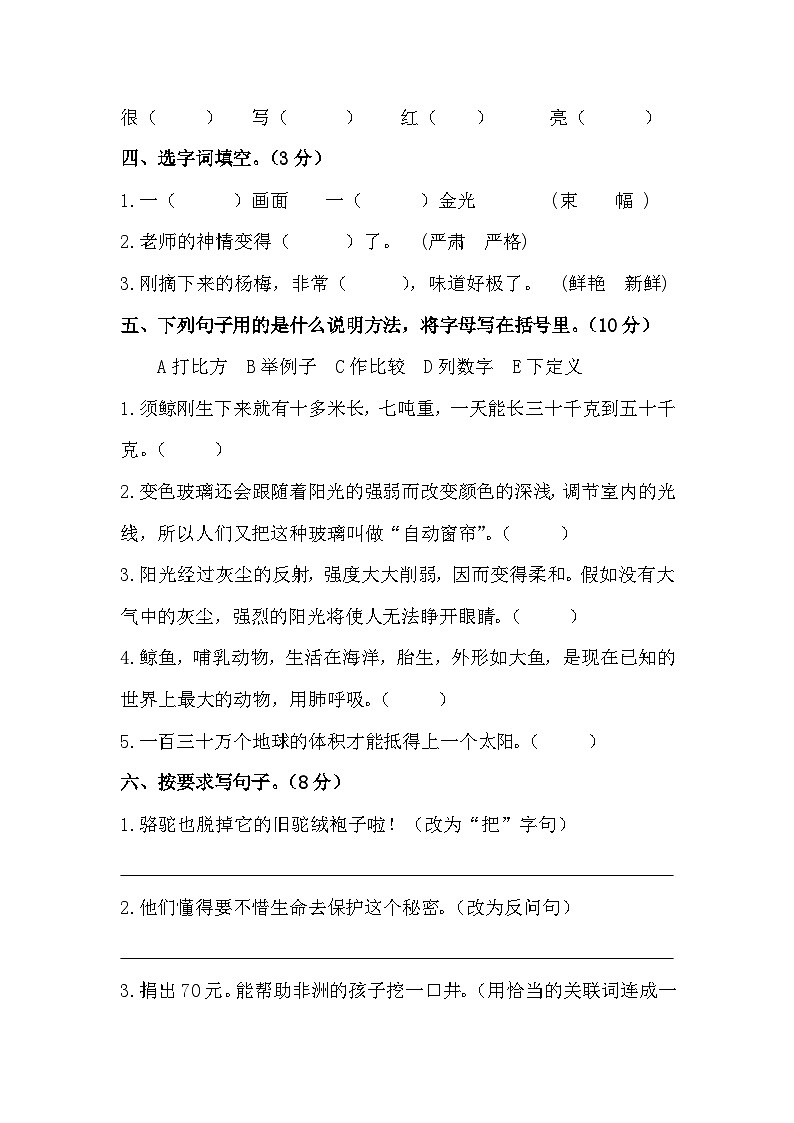 语文小升初初一入学分班考测试卷（一）（含答案）02