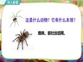 【核心素养】部编版语文二下 20《蜘蛛开店》课件+教案+音视频素材