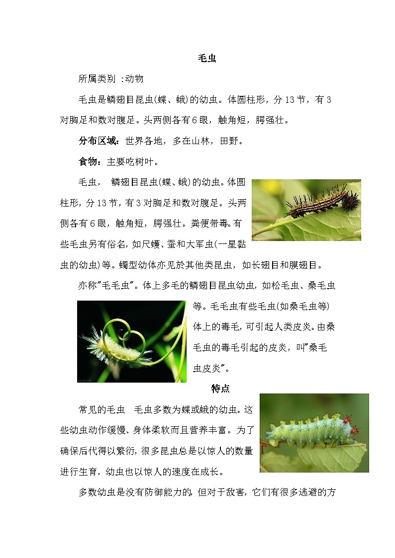 【核心素养】部编版语文二下 22《小毛虫》课件+教案+音视频素材01