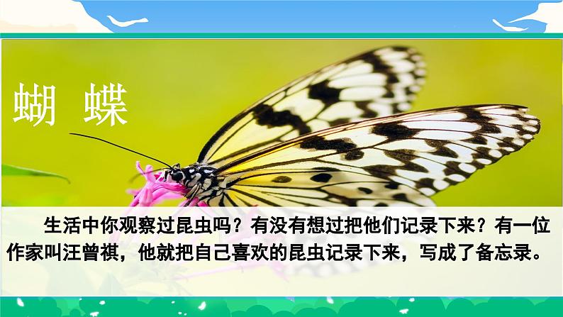 【核心素养】部编版小学语文 三年级下册4.昆虫备忘录课件+教案（含教学反思）02