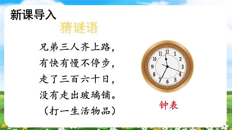 【核心素养目标】部编版小学语文六年级下册 16 表里的生物 课件+教案（含教学反思） +素材03