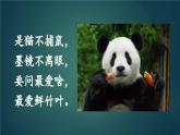 部编版语文三年级下册 习作：国宝大熊猫（第二课时） 课件