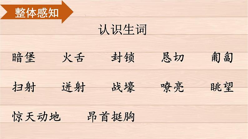 部编版语文六年级下册 13 董存瑞舍身炸暗堡 教学课件第5页