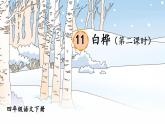部编版语文四年级下册 11 白桦（第二课时） 课件