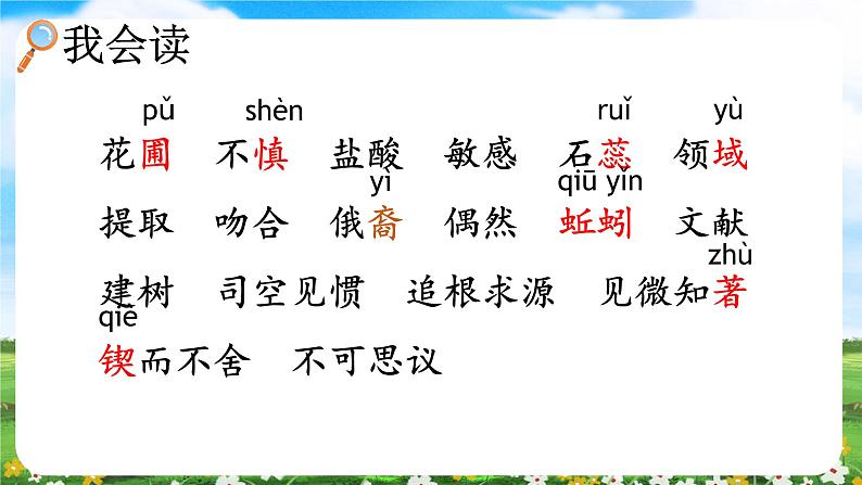 【核心素养目标】部编版小学语文六年级下册 15 真理诞生于一百个问号之后 课件+教案（含教学反思） +素材07