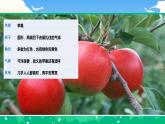 【核心素養(yǎng)】部編版小學(xué)語(yǔ)文 三年級(jí)下冊(cè)語(yǔ)文習(xí)作 我的植物朋友 課件＋教案（含教學(xué)反思）